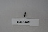  ( - BHAK-04567)  @11 [ ] CreativeCommons - Attribution No Derivatives (2018) Hakai Institute Hakai Institute