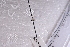  (Hydrellia platygastra - BHAK-05485)  @11 [ ] CreativeCommons - Attribution No Derivatives (2018) Hakai Institute Hakai Institute