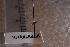  ( - BHAK-05488)  @11 [ ] CreativeCommons - Attribution No Derivatives (2018) Hakai Institute Hakai Institute