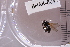  ( - BHAK-06041)  @12 [ ] CreativeCommons - Attribution No Derivatives (2018) Hakai Institute Hakai Institute