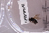  ( - BHAK-06041)  @12 [ ] CreativeCommons - Attribution No Derivatives (2018) Hakai Institute Hakai Institute