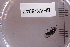  ( - BHAK-06042)  @11 [ ] CreativeCommons - Attribution No Derivatives (2018) Hakai Institute Hakai Institute