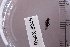  ( - BHAK-06045)  @11 [ ] CreativeCommons - Attribution No Derivatives (2018) Hakai Institute Hakai Institute
