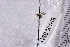  ( - BHAK-06311)  @12 [ ] CreativeCommons - Attribution No Derivatives (2018) Hakai Institute Hakai Institute