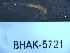 ( - BHAK-05721)  @11 [ ] CreativeCommons - Attribution No Derivatives (2018) Hakai Institute Hakai Institute