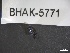  ( - BHAK-05771)  @11 [ ] CreativeCommons - Attribution No Derivatives (2018) Hakai Institute Hakai Institute