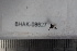  ( - BHAK-08627)  @12 [ ] CreativeCommons - Attribution No Derivatives (2018) Hakai Institute Hakai Institute