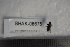  ( - BHAK-08675)  @11 [ ] CreativeCommons - Attribution No Derivatives (2018) Hakai Institute Hakai Institute