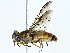  ( - BIOUG85478-C07)  @11 [ ] CreativeCommons - Attribution (2022) CBG Photography Group Centre for Biodiversity Genomics