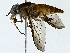  ( - BIOUG85478-C12)  @11 [ ] CreativeCommons - Attribution (2022) CBG Photography Group Centre for Biodiversity Genomics