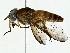  ( - BIOUG85478-D01)  @11 [ ] CreativeCommons - Attribution (2022) CBG Photography Group Centre for Biodiversity Genomics