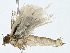  ( - BIOUG89985-F09)  @11 [ ] CreativeCommons - Attribution (2022) CBG Photography Group Centre for Biodiversity Genomics