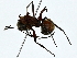  ( - BIOUG91374-B07)  @11 [ ] CreativeCommons - Attribution (2022) CBG Photography Group Centre for Biodiversity Genomics