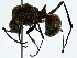  ( - BIOUG91375-C05)  @11 [ ] CreativeCommons - Attribution (2022) CBG Photography Group Centre for Biodiversity Genomics