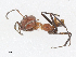  ( - CBG-A07116-A03)  @11 [ ] CreativeCommons - Attribution Share-Alike (2023) CBG Photography Group Centre for Biodiversity Genomics