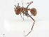  ( - CBG-A13212-D07)  @11 [ ] CreativeCommons - Attribution Share - Alike (2023) CBG Photography Group Centre for Biodiversity Genomics