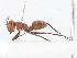 ( - CBG-A13212-D08)  @11 [ ] CreativeCommons - Attribution Share - Alike (2023) CBG Photography Group Centre for Biodiversity Genomics