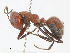  ( - CBG-A13212-D11)  @11 [ ] CreativeCommons - Attribution Share - Alike (2023) CBG Photography Group Centre for Biodiversity Genomics
