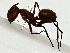  ( - BIOUG91322-D01)  @11 [ ] CreativeCommons - Attribution (2022) CBG Photography Group Centre for Biodiversity Genomics