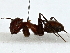  ( - BIOUG91322-F04)  @11 [ ] CreativeCommons - Attribution (2022) CBG Photography Group Centre for Biodiversity Genomics