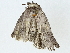  ( - BIOUG89986-C11)  @11 [ ] CreativeCommons - Attribution (2022) CBG Photography Group Centre for Biodiversity Genomics