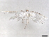  ( - BIOUG95315-F04)  @11 [ ] CreativeCommons - Attribution Non-Commercial Share-Alike (2022) CBG Photography Group Centre for Biodiversity Genomics