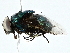  ( - BIOUG95316-F04)  @11 [ ] CreativeCommons - Attribution (2023) CBG Photography Group Centre for Biodiversity Genomics