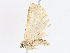  ( - CBG-A07117-C04)  @11 [ ] CreativeCommons - Attribution Share - Alike (2023) CBG Photography Group Centre for Biodiversity Genomics