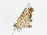  ( - CBG-A07117-C05)  @11 [ ] CreativeCommons - Attribution Share - Alike (2023) CBG Photography Group Centre for Biodiversity Genomics