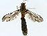  ( - BIOUG91324-C12)  @11 [ ] CreativeCommons - Attribution (2022) CBG Photography Group Centre for Biodiversity Genomics