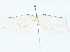  ( - BIOUG91326-A07)  @11 [ ] CreativeCommons - Attribution (2022) CBG Photography Group Centre for Biodiversity Genomics