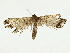  ( - BIOUG91328-H01)  @11 [ ] CreativeCommons - Attribution (2023) CBG Photography Group Centre for Biodiversity Genomics