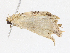  ( - CBG-A13257-B04)  @11 [ ] CreativeCommons - Attribution Share - Alike (2023) CBG Photography Group Centre for Biodiversity Genomics