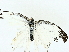  ( - BIOUG95316-H10)  @11 [ ] CreativeCommons - Attribution (2023) CBG Photography Group Centre for Biodiversity Genomics