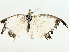  ( - BIOUG95317-D01)  @11 [ ] CreativeCommons - Attribution (2023) CBG Photography Group Centre for Biodiversity Genomics