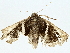  ( - BIOUG95317-D05)  @11 [ ] CreativeCommons - Attribution (2023) CBG Photography Group Centre for Biodiversity Genomics