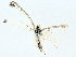  ( - BIOUG95317-D10)  @11 [ ] CreativeCommons - Attribution (2023) CBG Photography Group Centre for Biodiversity Genomics