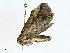  ( - BIOUG97775-E05)  @11 [ ] CreativeCommons - Attribution (2023) CBG Photography Group Centre for Biodiversity Genomics