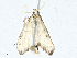  ( - CBG-A00338-F07)  @11 [ ] CreativeCommons - Attribution (2023) CBG Photography Group Centre for Biodiversity Genomics
