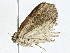  ( - CBG-A00341-B06)  @11 [ ] CreativeCommons - Attribution (2023) CBG Photography Group Centre for Biodiversity Genomics