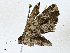  ( - CBG-A00341-B08)  @11 [ ] CreativeCommons - Attribution (2023) CBG Photography Group Centre for Biodiversity Genomics