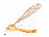  ( - CBG-A13273-H02)  @11 [ ] CreativeCommons - Attribution Share - Alike (2023) CBG Photography Group Centre for Biodiversity Genomics
