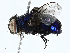  ( - BIOUG98705-D09)  @11 [ ] CreativeCommons - Attribution (2023) CBG Photography Group Centre for Biodiversity Genomics