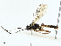  (Monontos - BIOUG98705-H03)  @11 [ ] CreativeCommons - Attribution (2023) CBG Photography Group Centre for Biodiversity Genomics