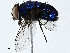  ( - BIOUG98707-C12)  @11 [ ] CreativeCommons - Attribution (2023) CBG Photography Group Centre for Biodiversity Genomics