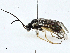  (Ferna - BIOUG98707-D10)  @11 [ ] CreativeCommons - Attribution (2023) CBG Photography Group Centre for Biodiversity Genomics
