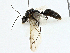  ( - BIOUG98708-D03)  @11 [ ] CreativeCommons - Attribution (2023) CBG Photography Group Centre for Biodiversity Genomics