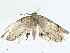  ( - CBG-A00322-F04)  @11 [ ] CreativeCommons - Attribution (2023) CBG Photography Group Centre for Biodiversity Genomics