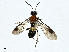  ( - CBG-A00323-D07)  @11 [ ] CreativeCommons - Attribution (2023) CBG Photography Group Centre for Biodiversity Genomics