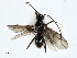  ( - CBG-A00323-G03)  @11 [ ] CreativeCommons - Attribution (2023) CBG Photography Group Centre for Biodiversity Genomics